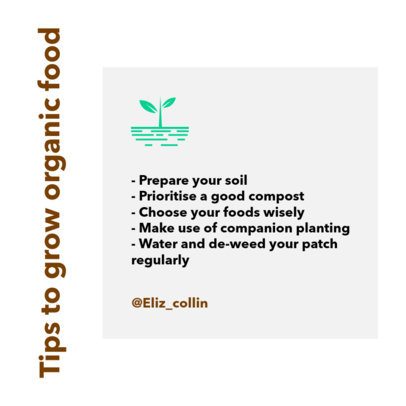 Social Media Templates