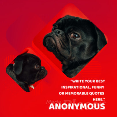 Instagram Video Maker for an Inspirational Quote Video with Fun Animations 860